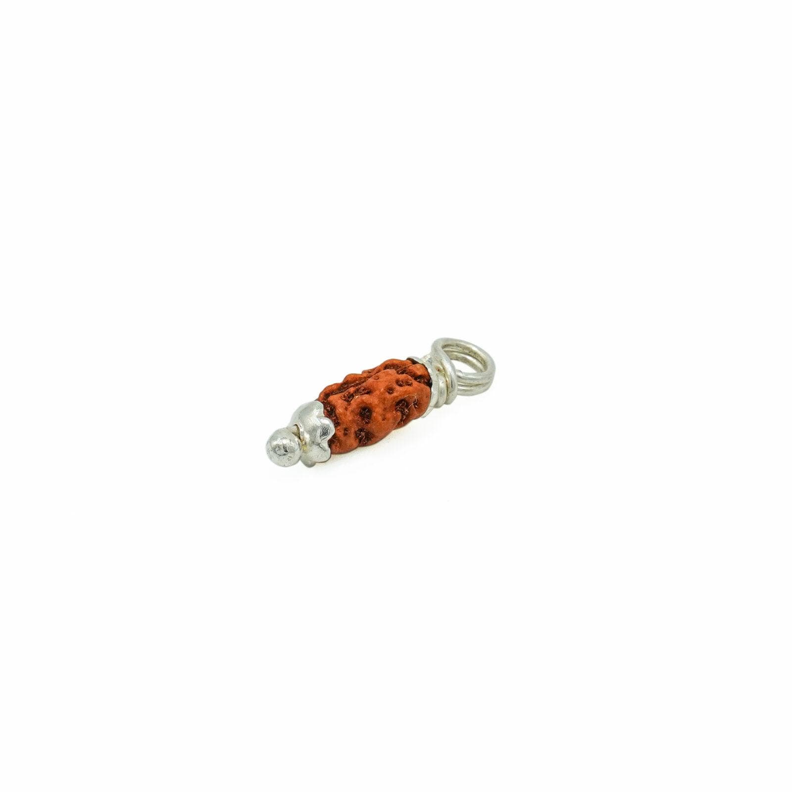 18 Mukhi Rudraksha 100% Original & Certified thumbnail 2