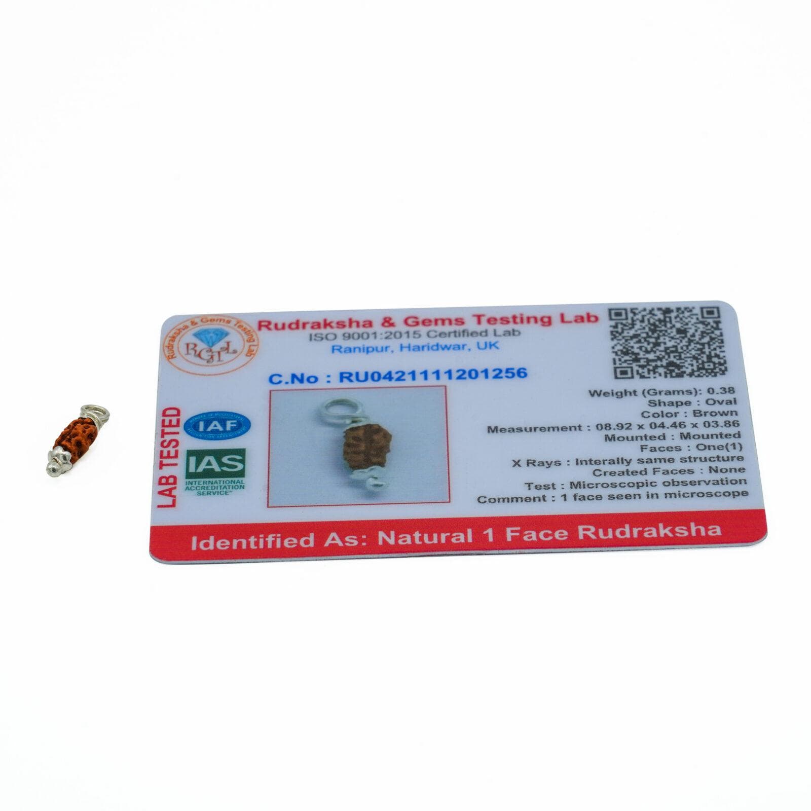 16 Mukhi Rudraksha thumbnail 2