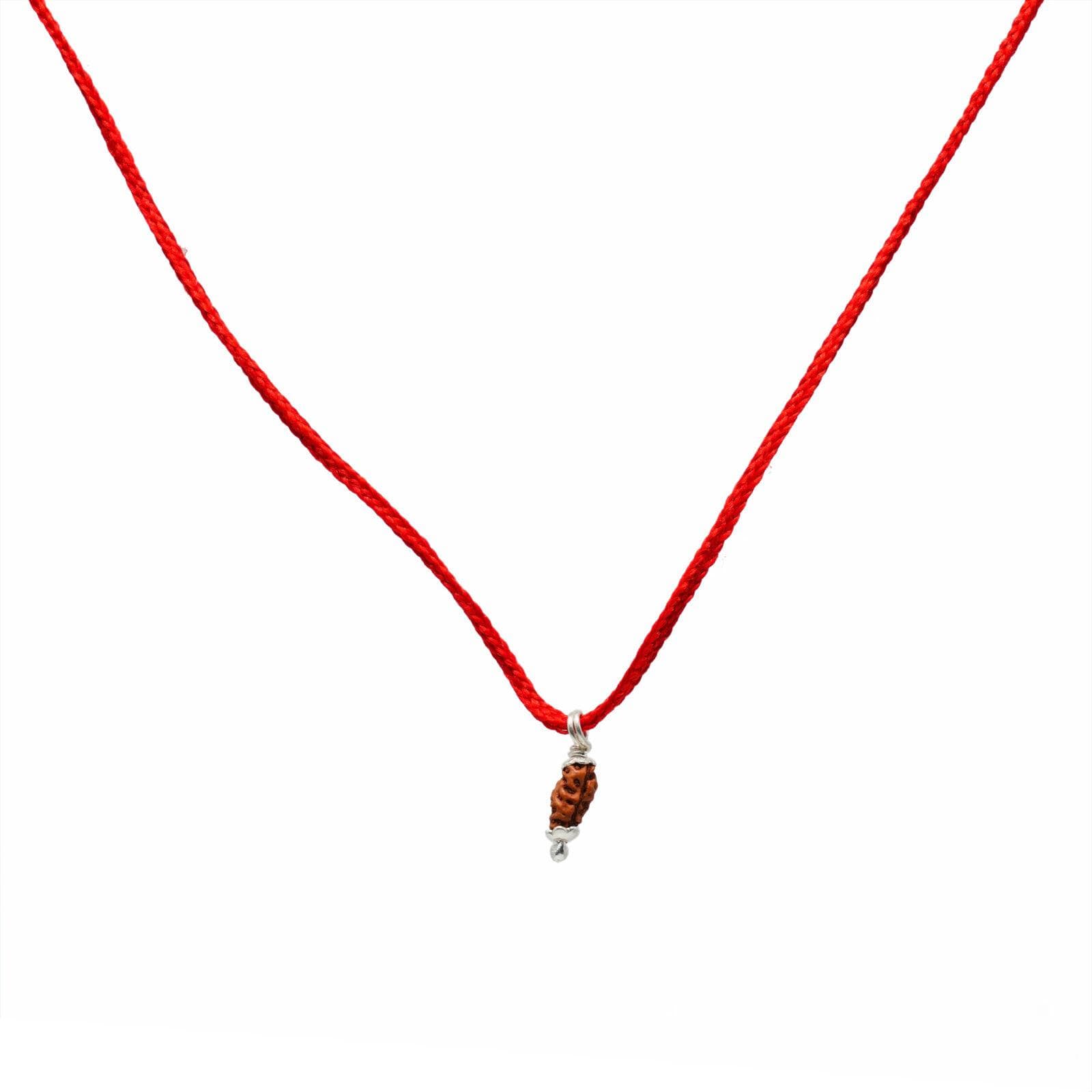 17 Mukhi Rudraksha 100% Original & Certified thumbnail 2