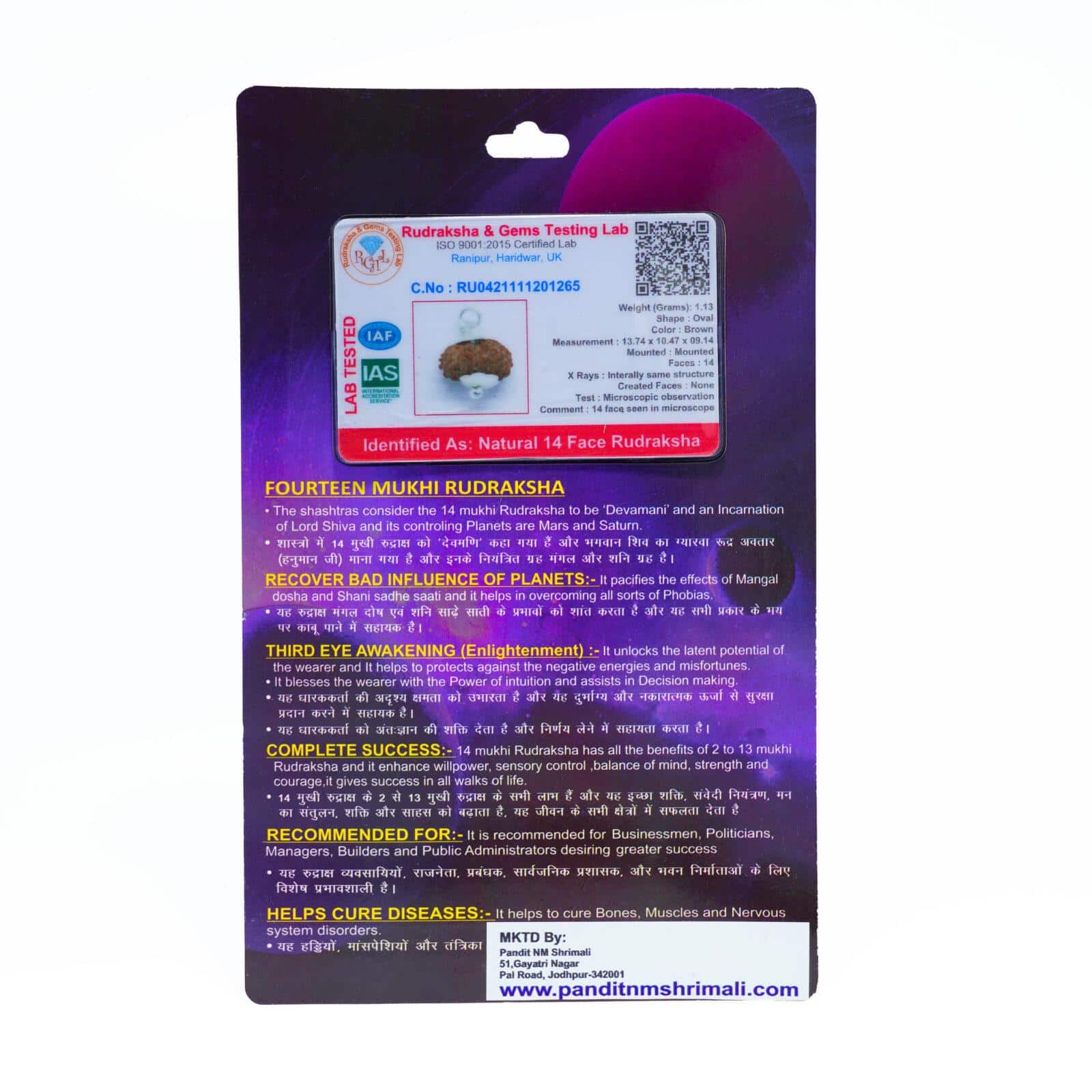 14 Mukhi Rudraksha 100% Certified thumbnail 3