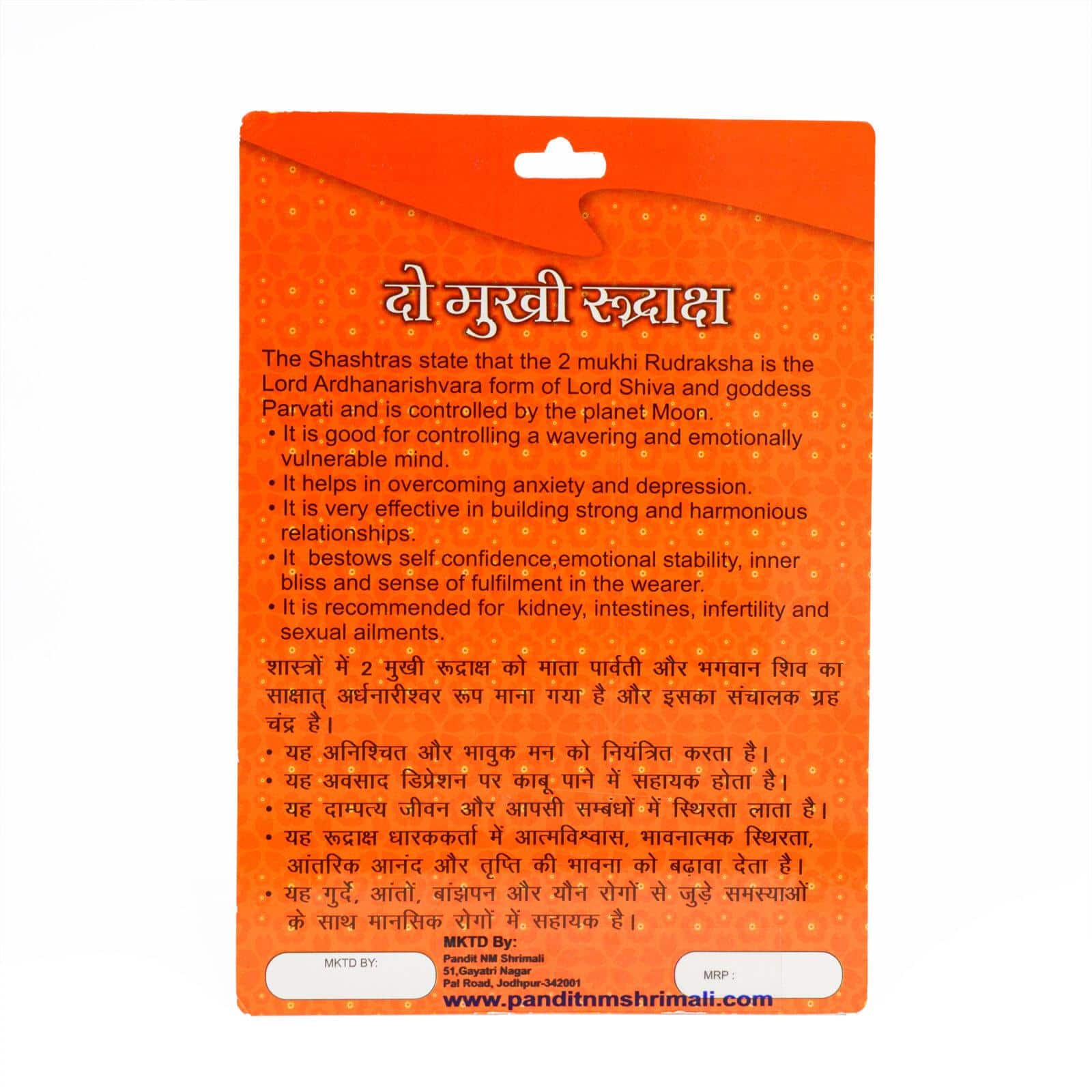 2 Mukhi Rudraksha 100% Certified thumbnail 2