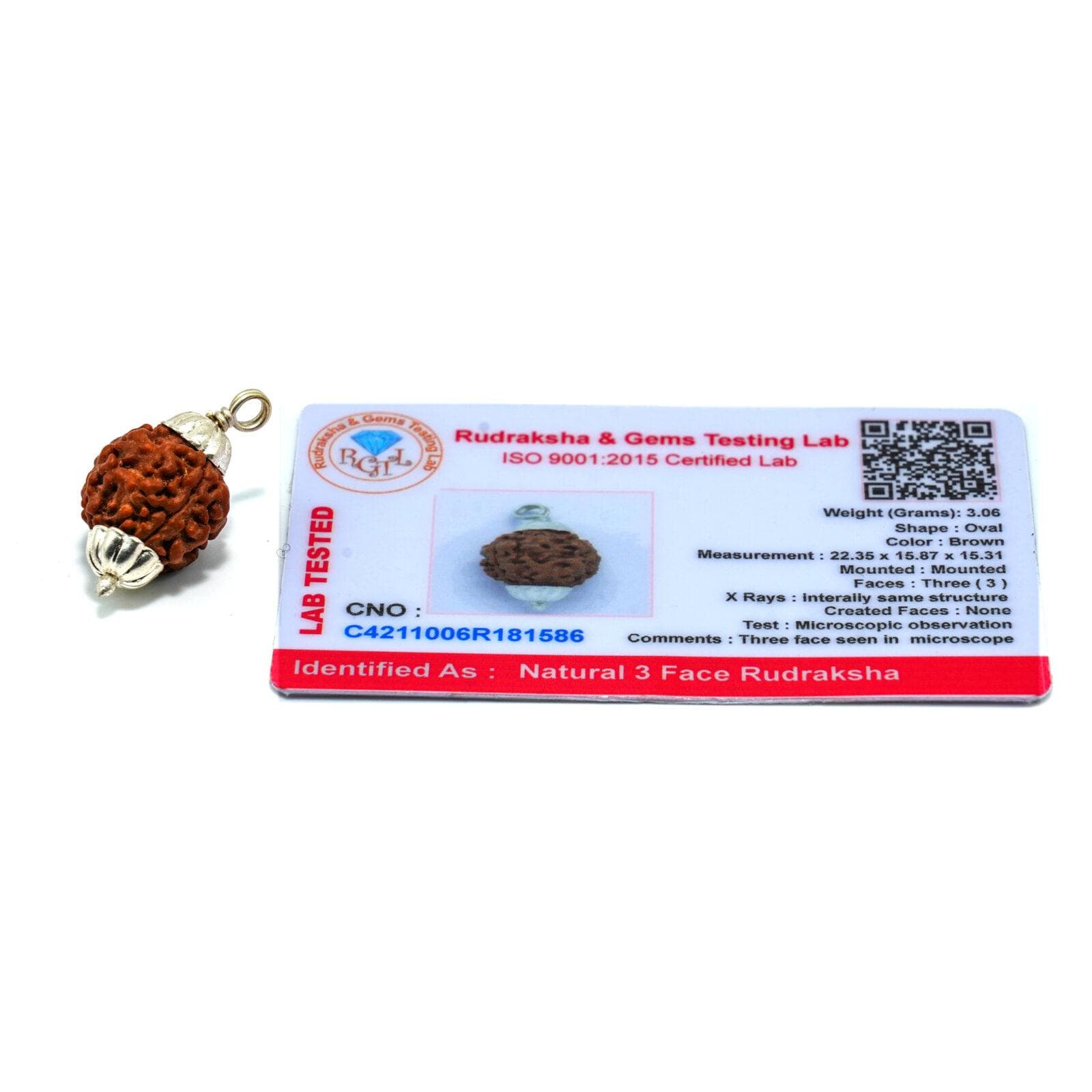 3 Mukhi Rudraksha 100% Certified thumbnail 3