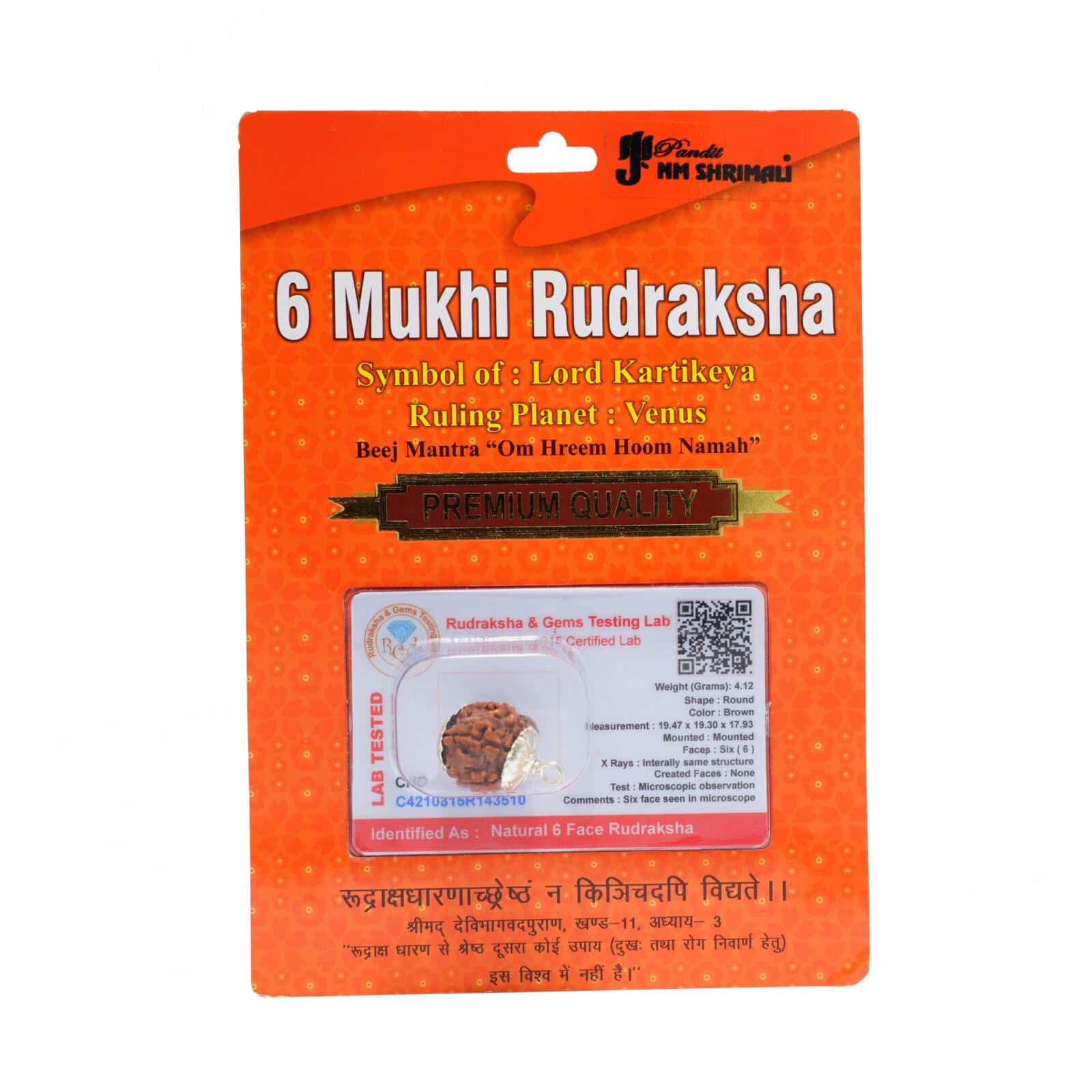 6 Mukhi Rudraksha 100% Certified thumbnail 3