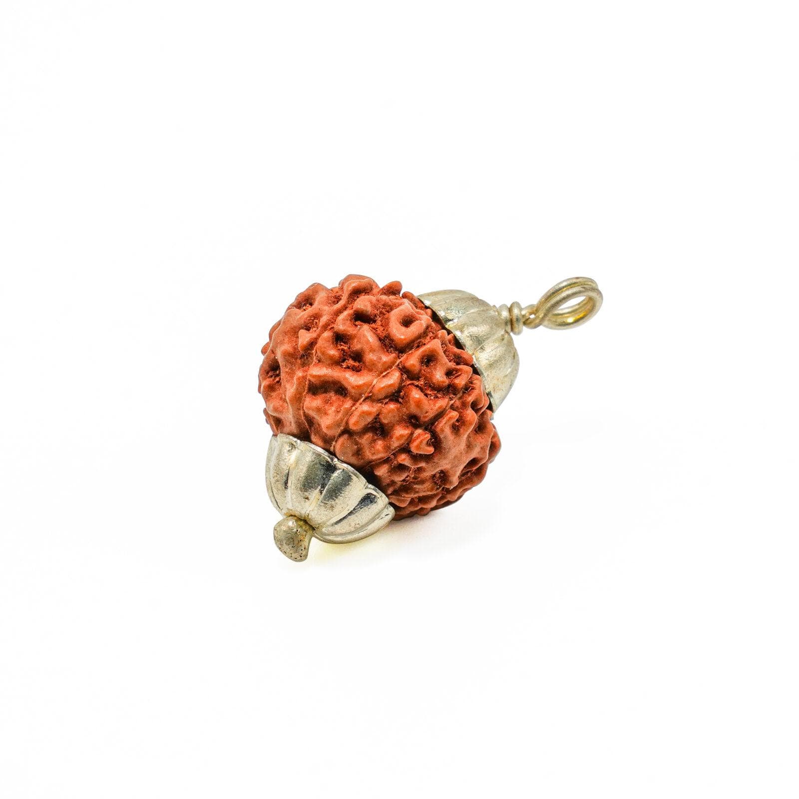 9 Mukhi Rudraksha 100% Certified thumbnail 3