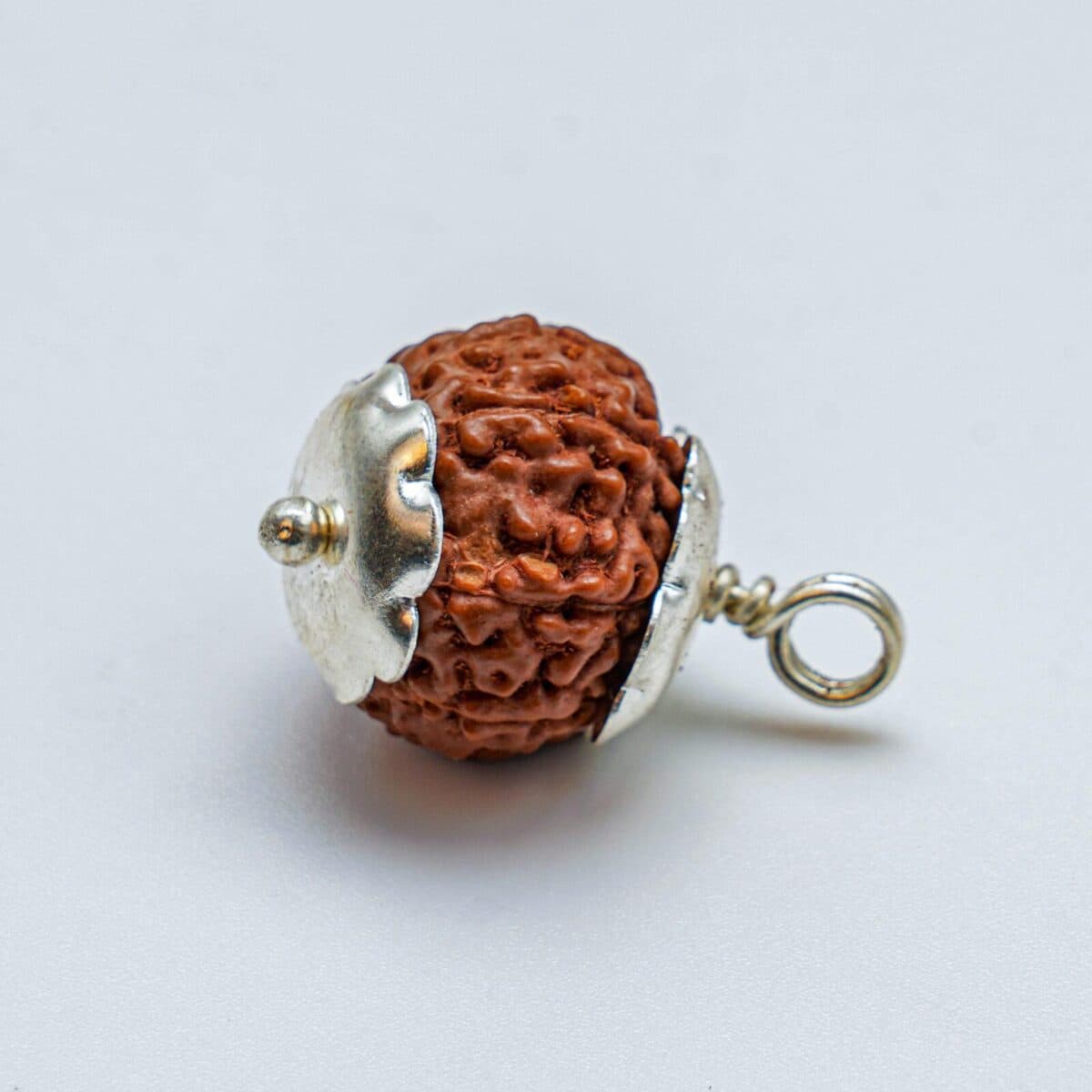 Rudraksha Moti Mala thumbnail 2