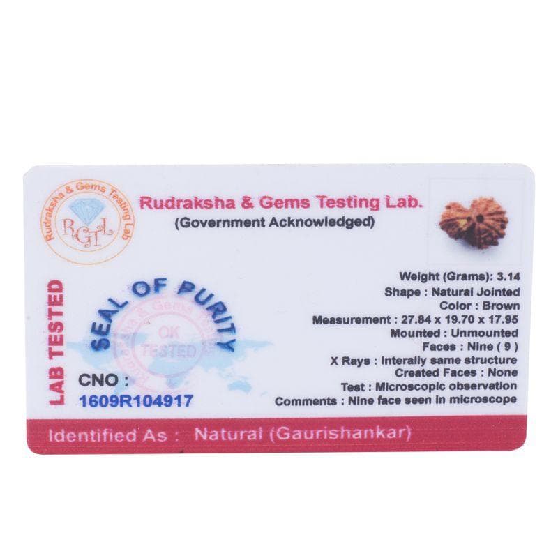Gauri Shankar Rudraksha thumbnail 2