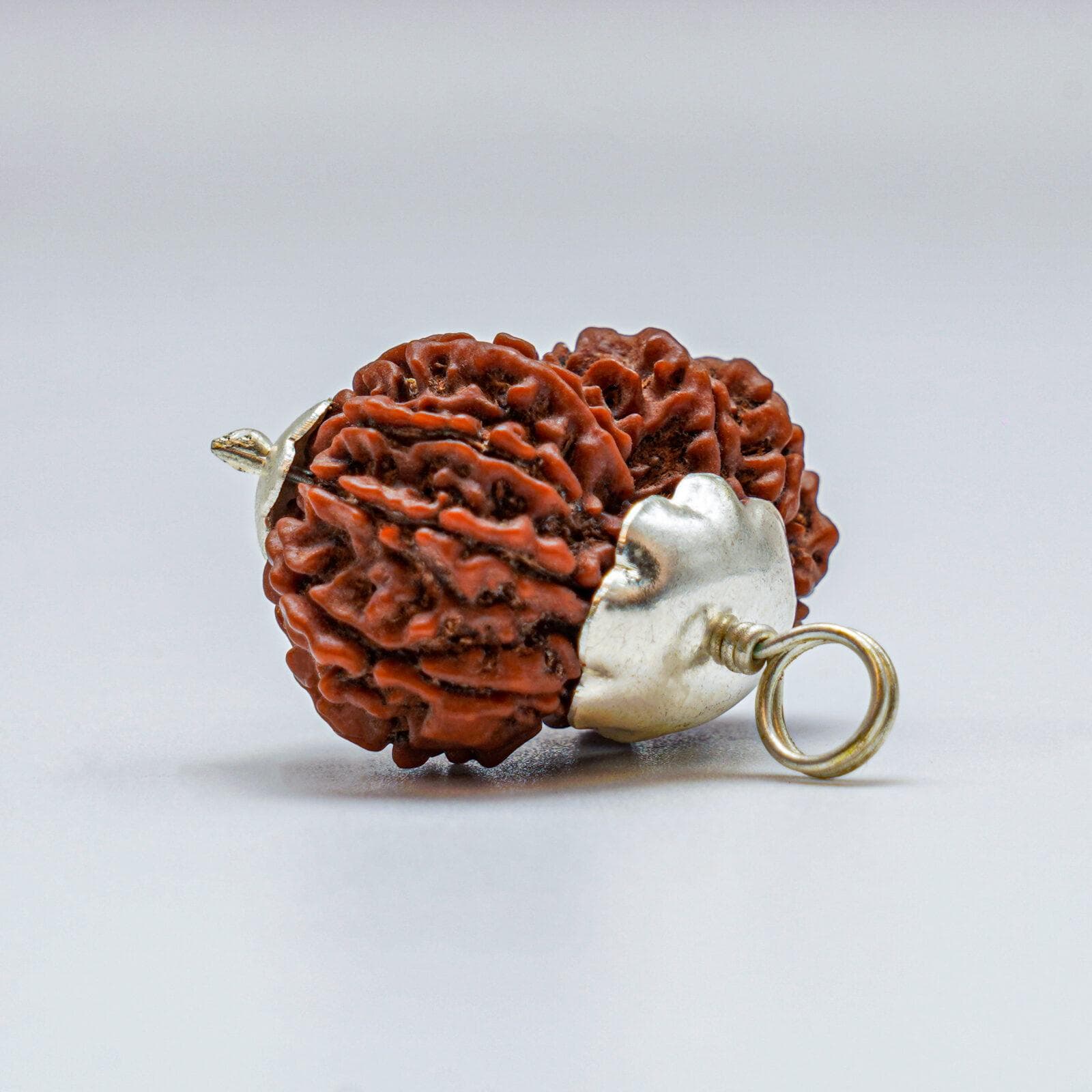 Gauri Shankar Rudraksha thumbnail 3