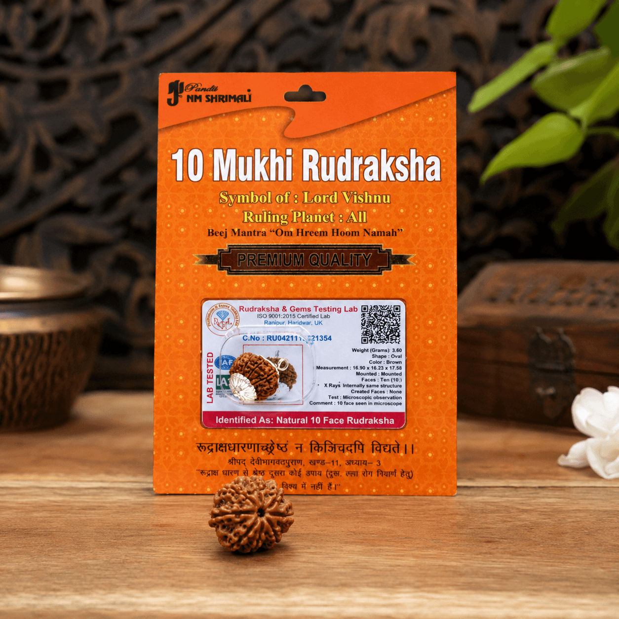 10 Mukhi Rudraksha 100% Certified