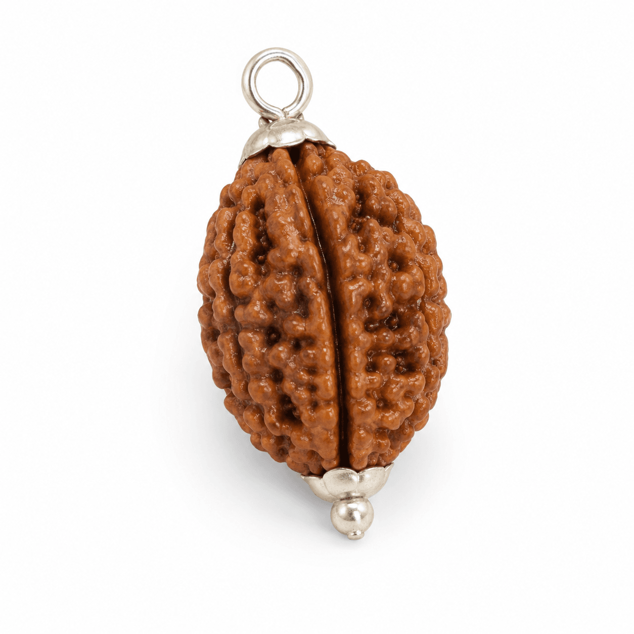 Kark Rashi Rudraksha 4+5+2 Mukhi