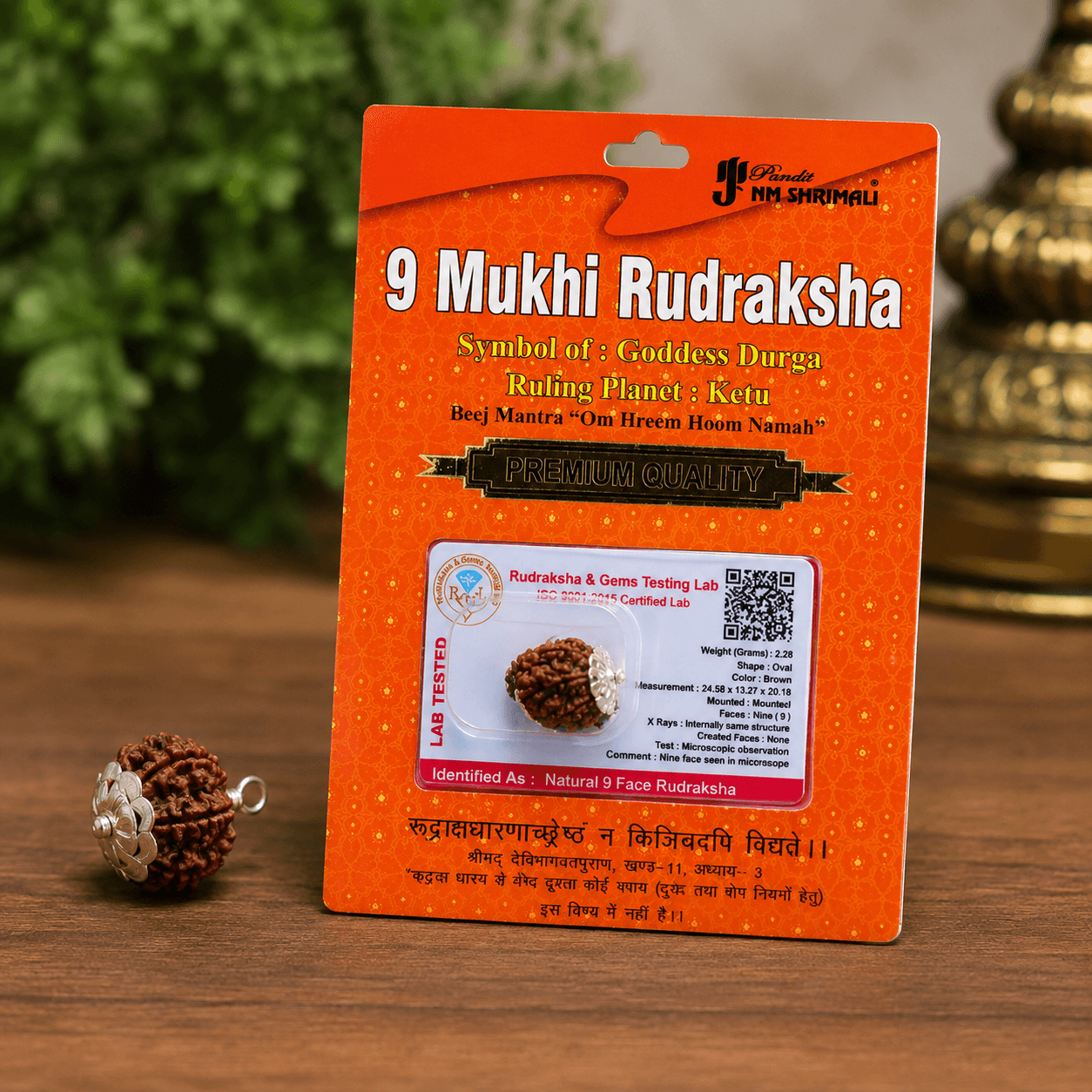 9 Mukhi Rudraksha 100% Certified