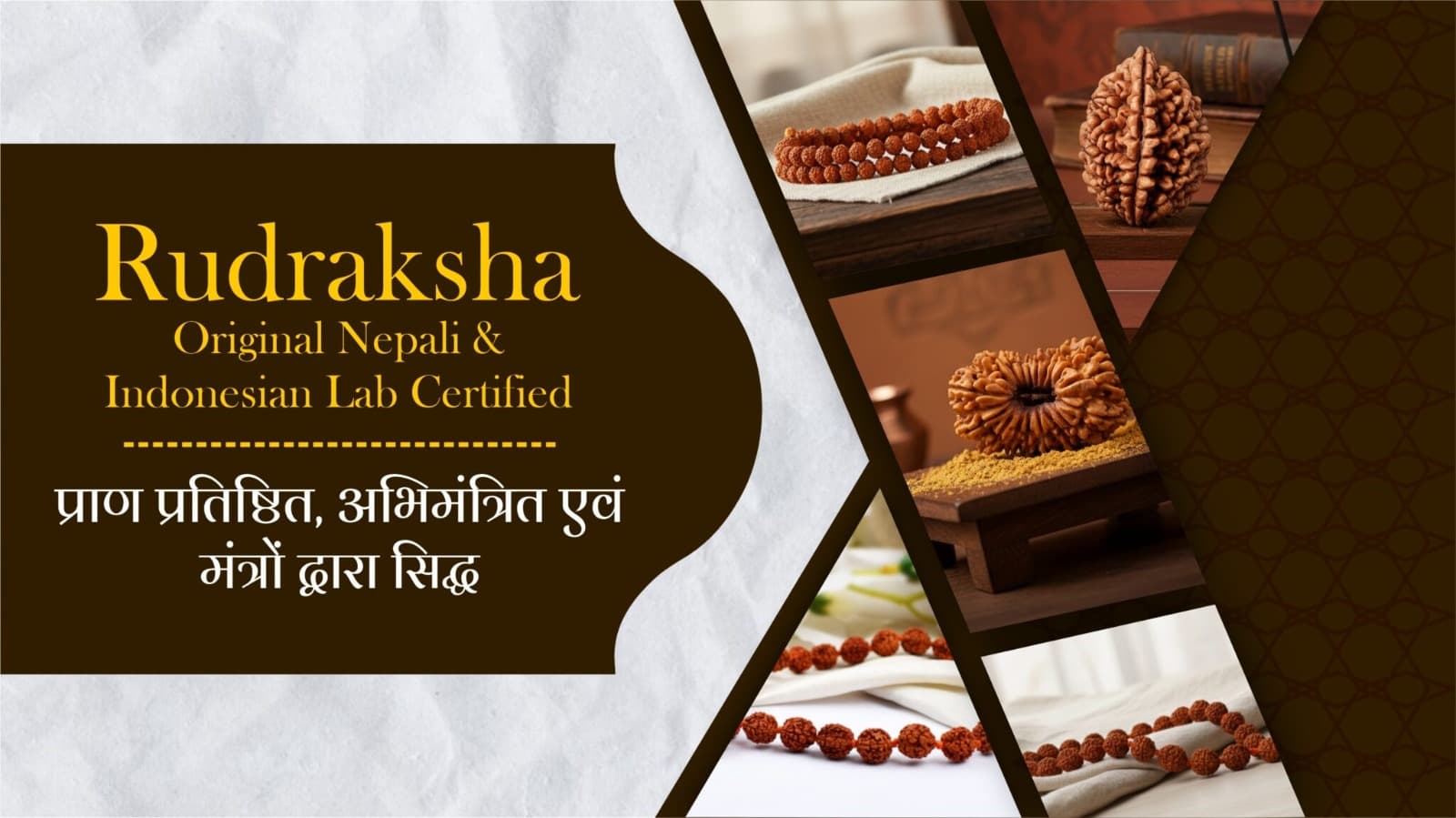 Rudraksha