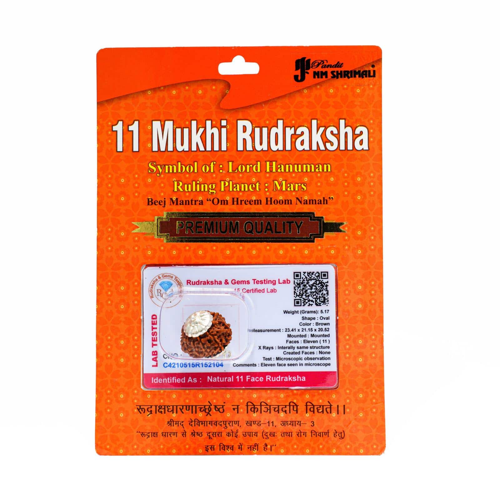 11 Mukhi Rudraksha 100% Certified