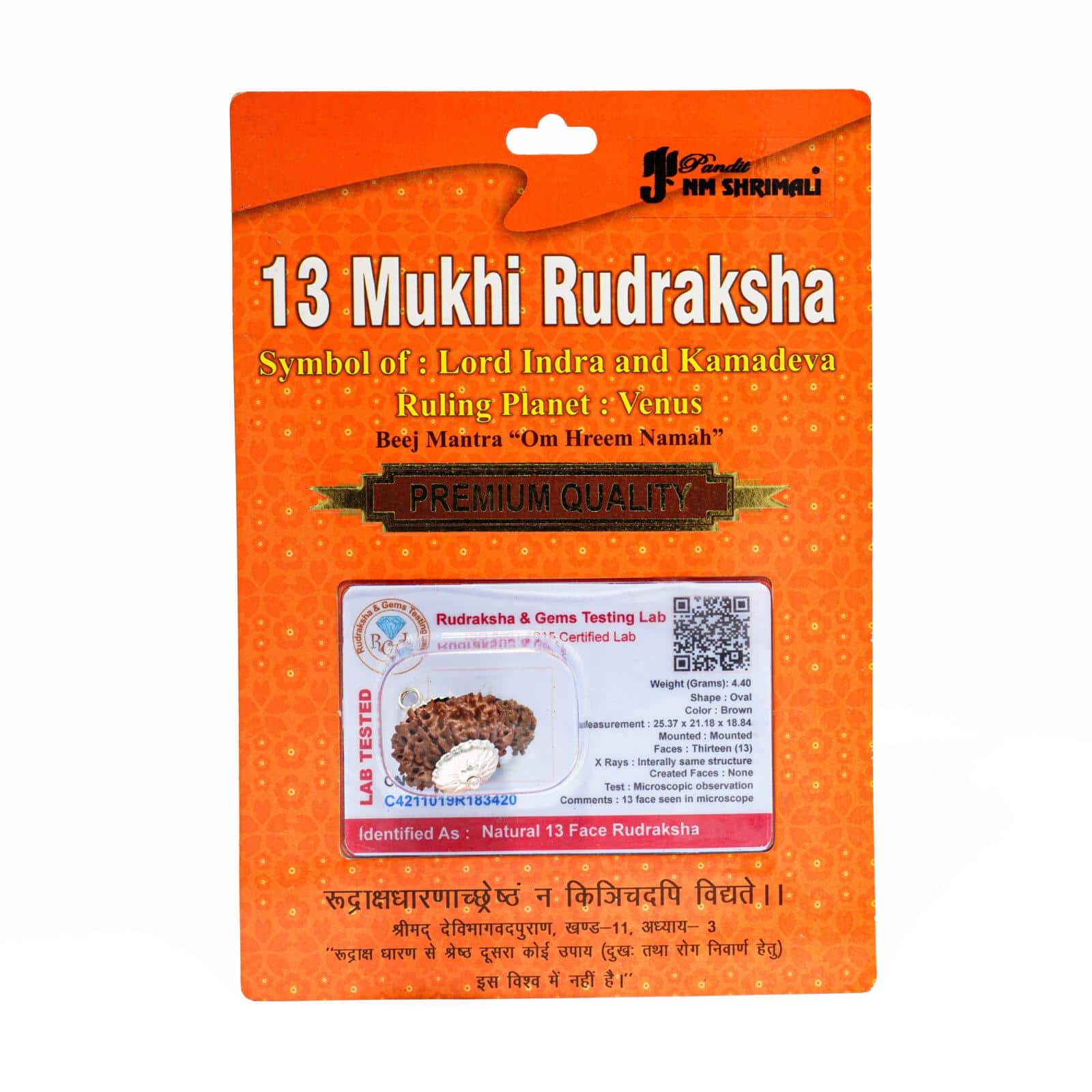 13 Mukhi Rudraksha