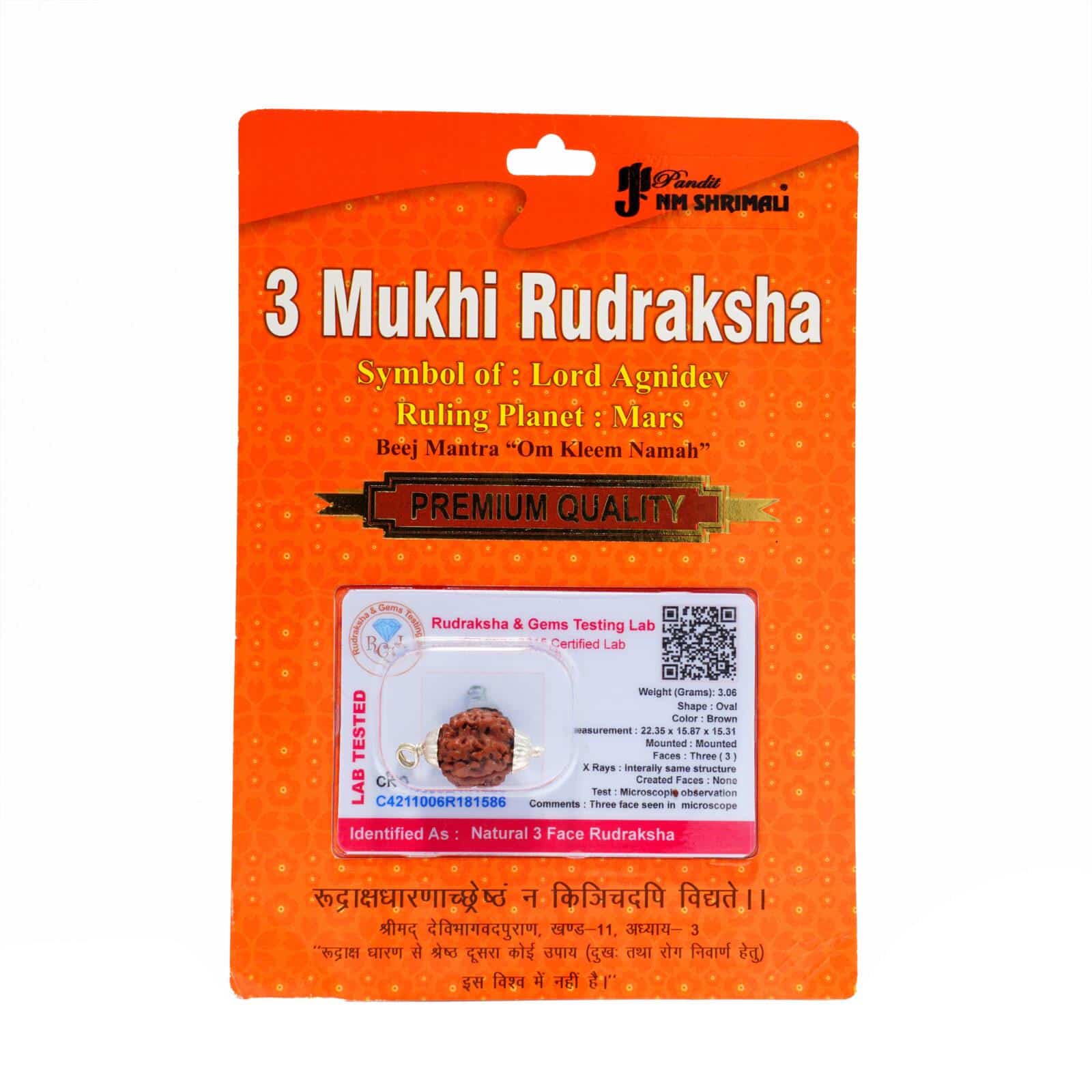 3 Mukhi Rudraksha 100% Certified