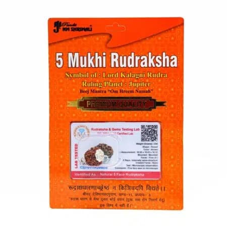 5 Mukhi Rudraksha 100% Certified