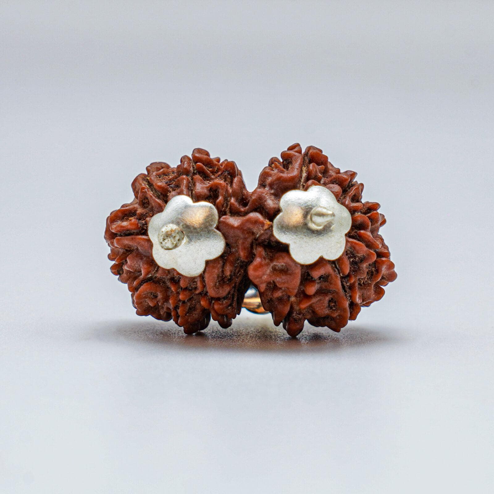 Dhanu Rashi Rudraksha Gemstone Silver Coated Pendant - Image 1