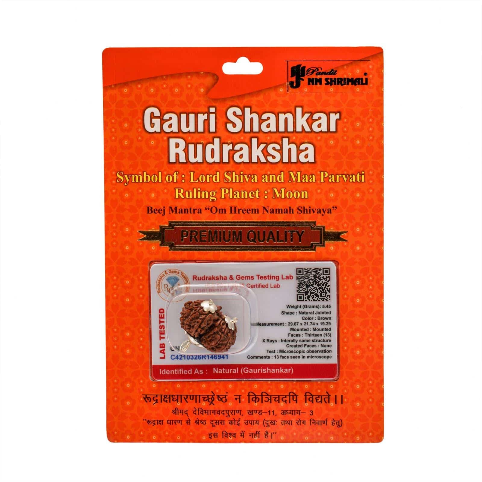 Gauri Shankar Rudraksha