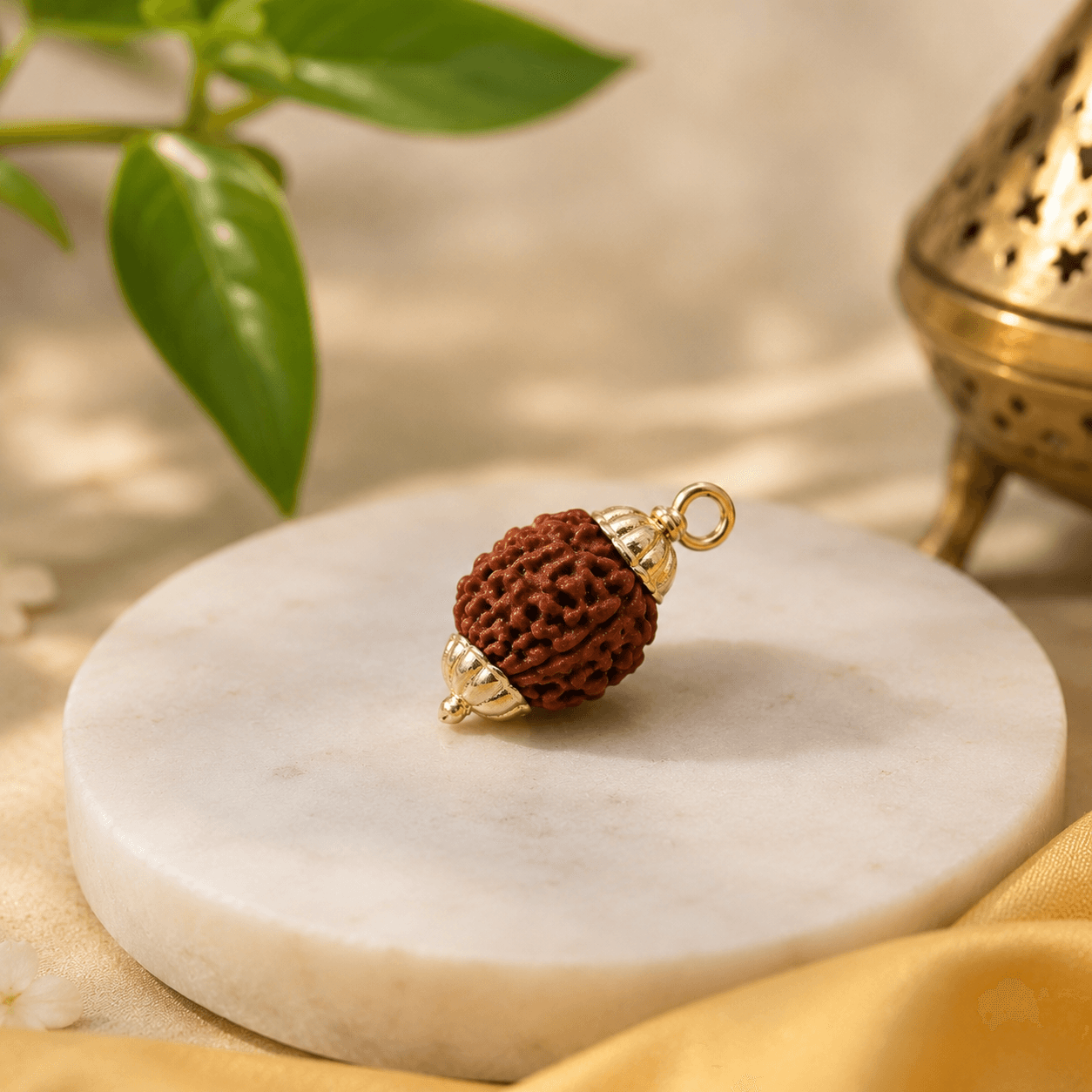 Singh Rashi Rudraksha 5+6+3 Mukhi