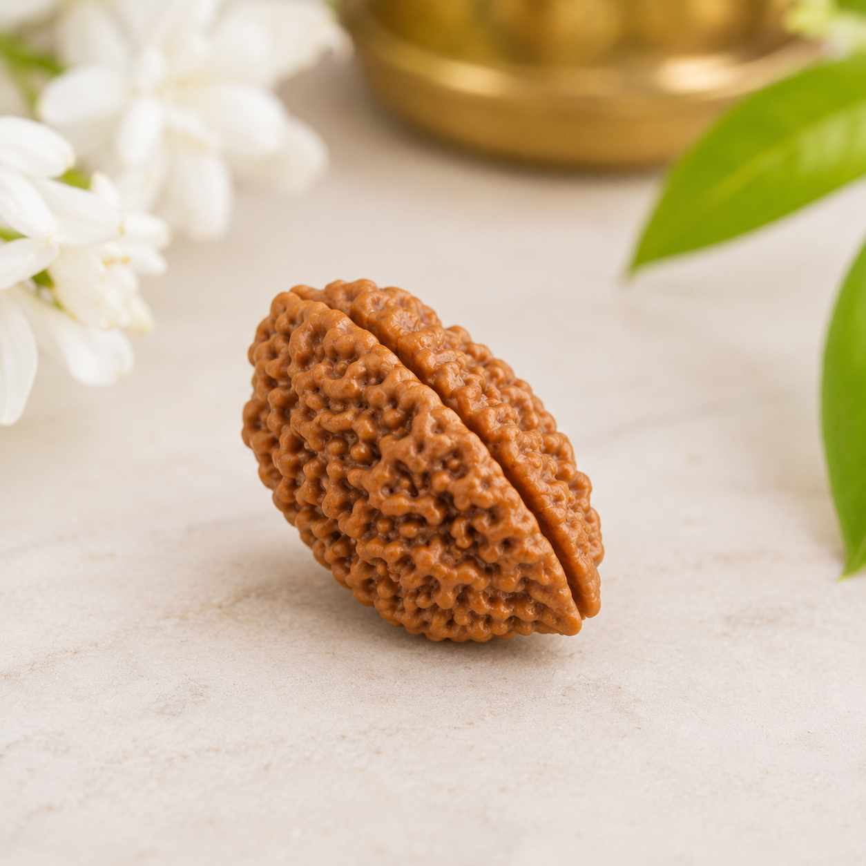 1 Mukhi Rudraksha 100% Certified thumbnail 2