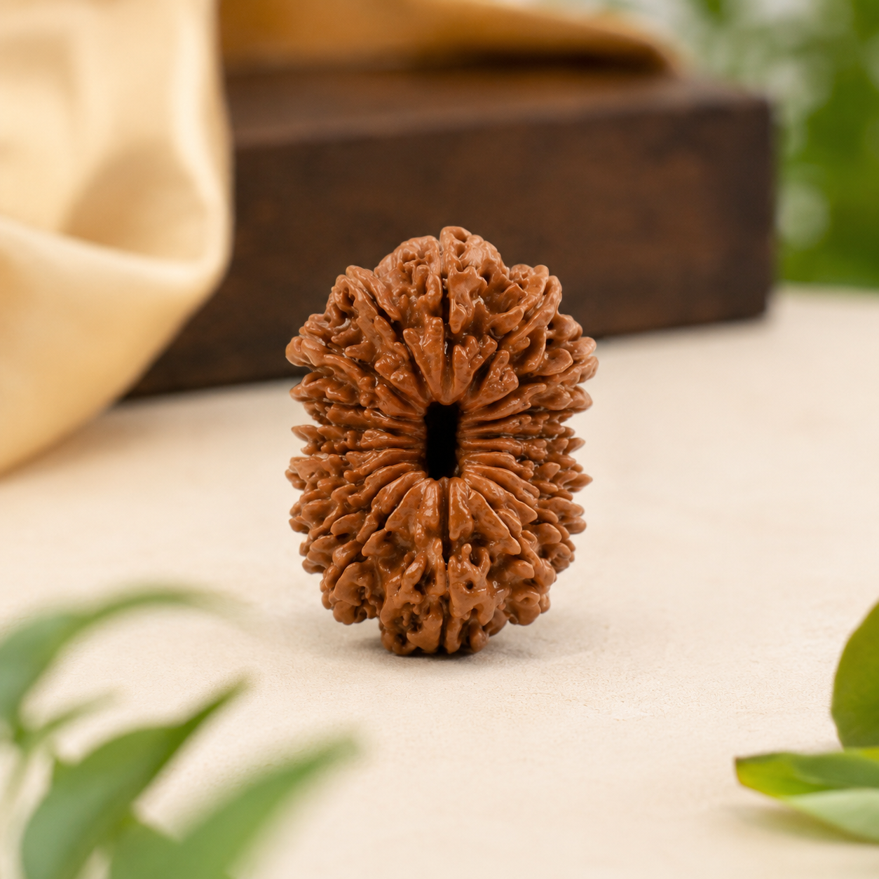 18 Mukhi Rudraksha 100% Original & Certified