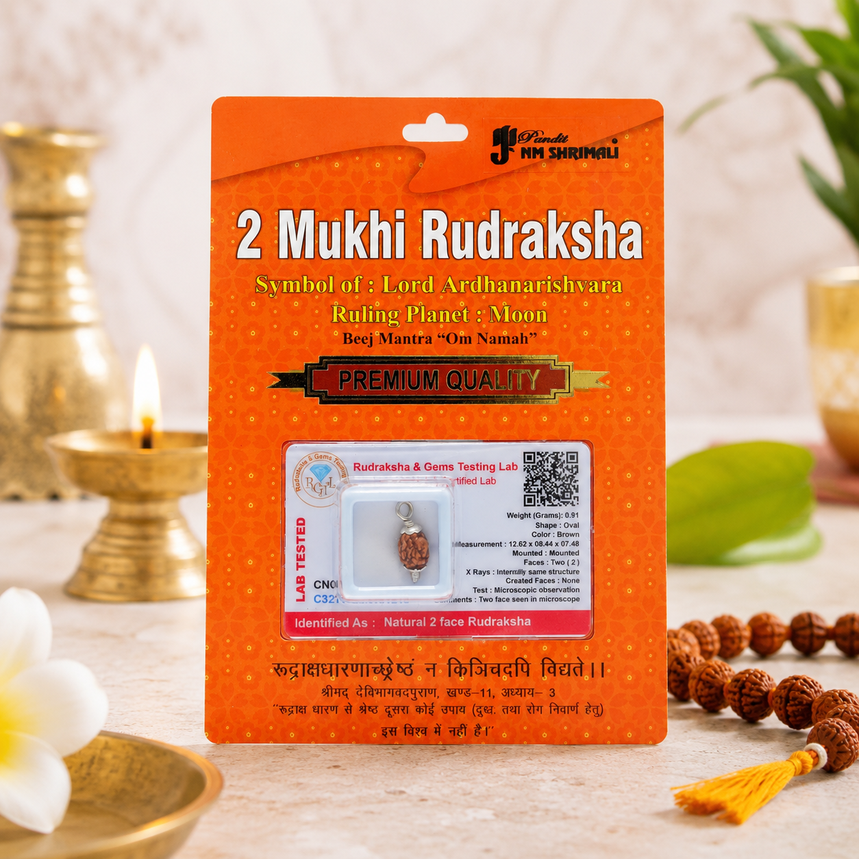 2 Mukhi Rudraksha 100% Certified thumbnail 3