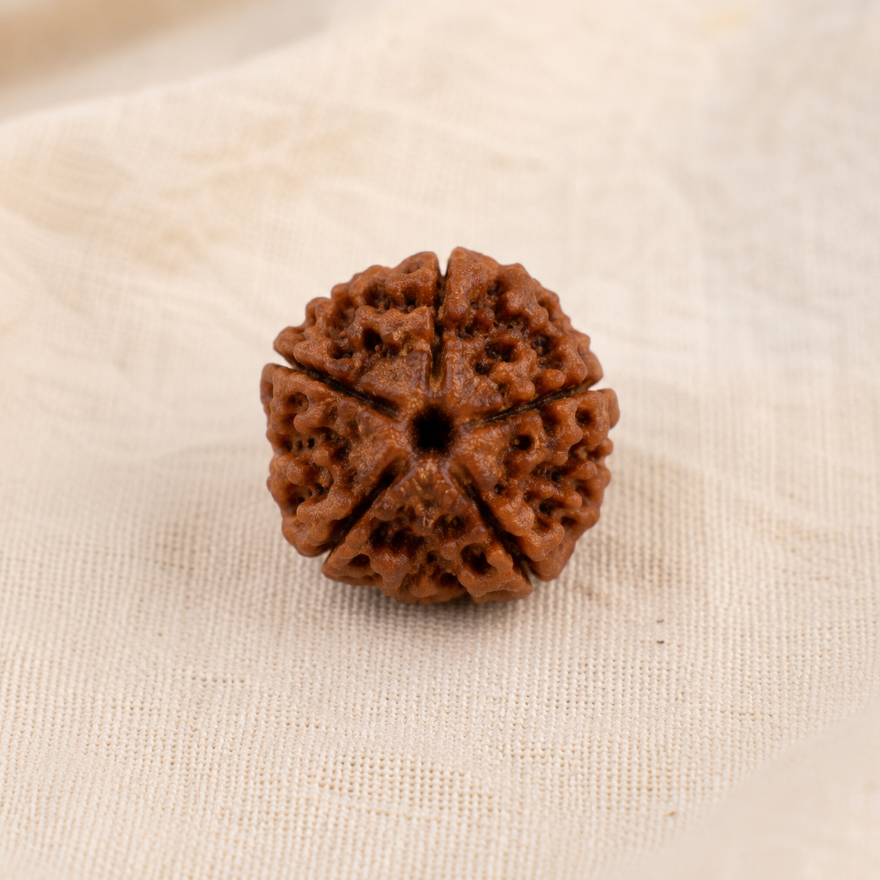 Mesh Rashi (Aries) Bissa Ratna Pendant