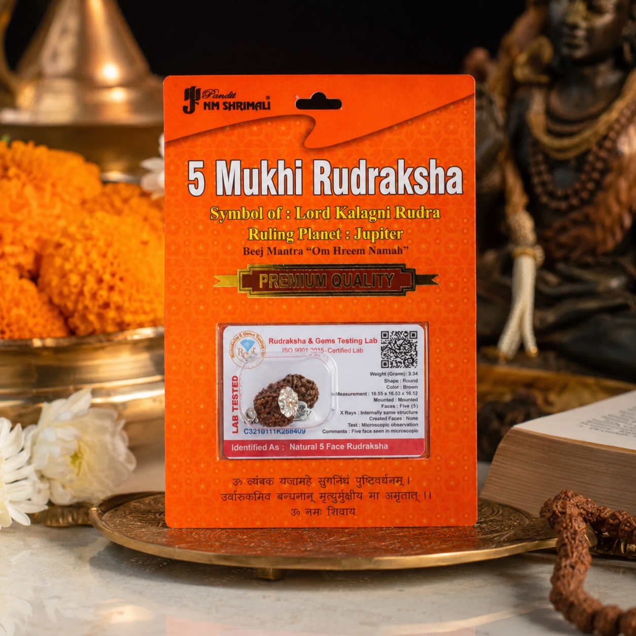 Mesh Rashi Rudraksha 2+3+5 Mukhi thumbnail 3
