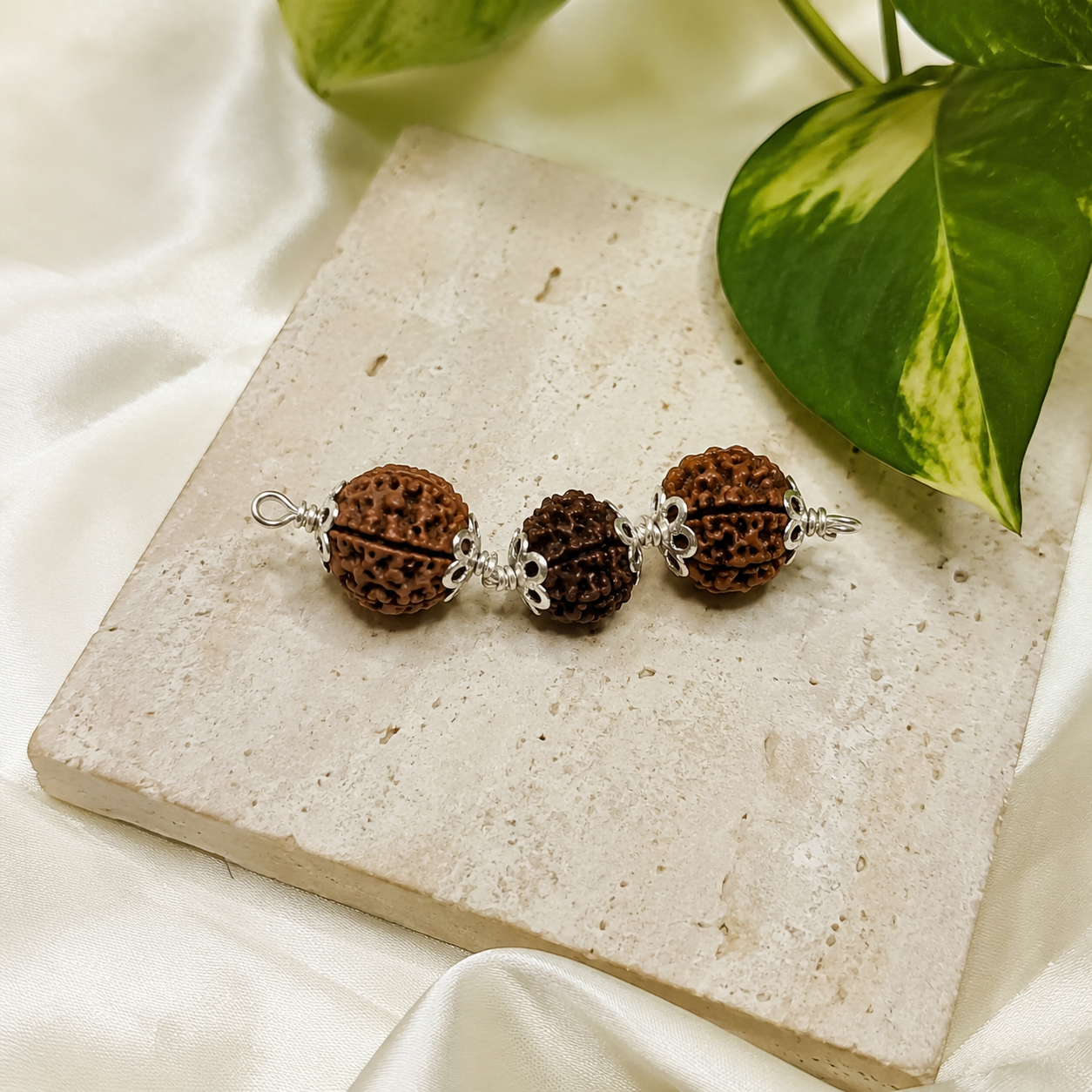 Dhanu Rashi Rudraksha 4+5+6 Mukhi