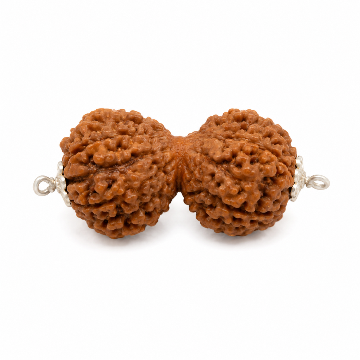 Gauri Shankar Rudraksha 100% Certified thumbnail 2