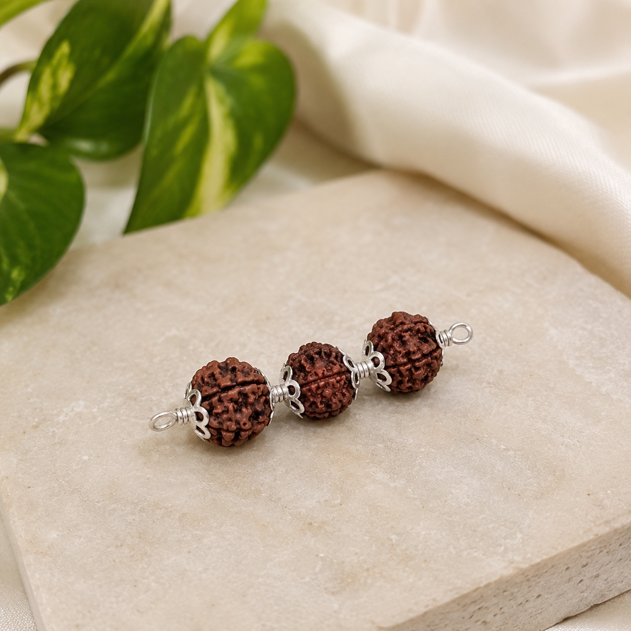Makar Rashi Rudraksha 4+5+6 Mukhi