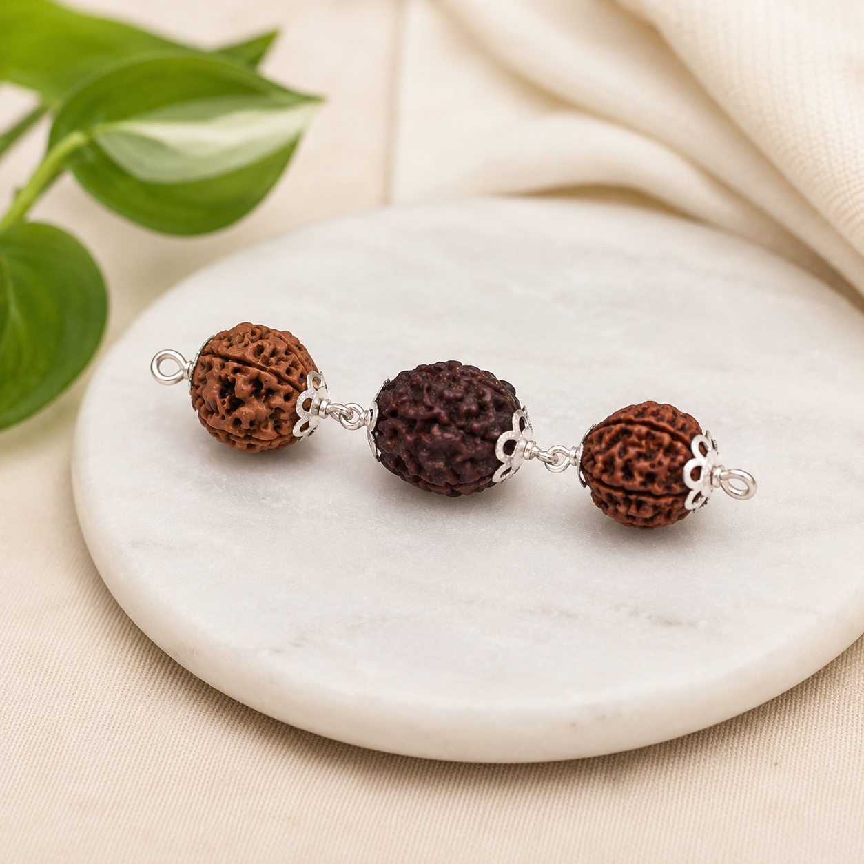 Meen Rashi Rudraksha 4+5+6 Mukhi