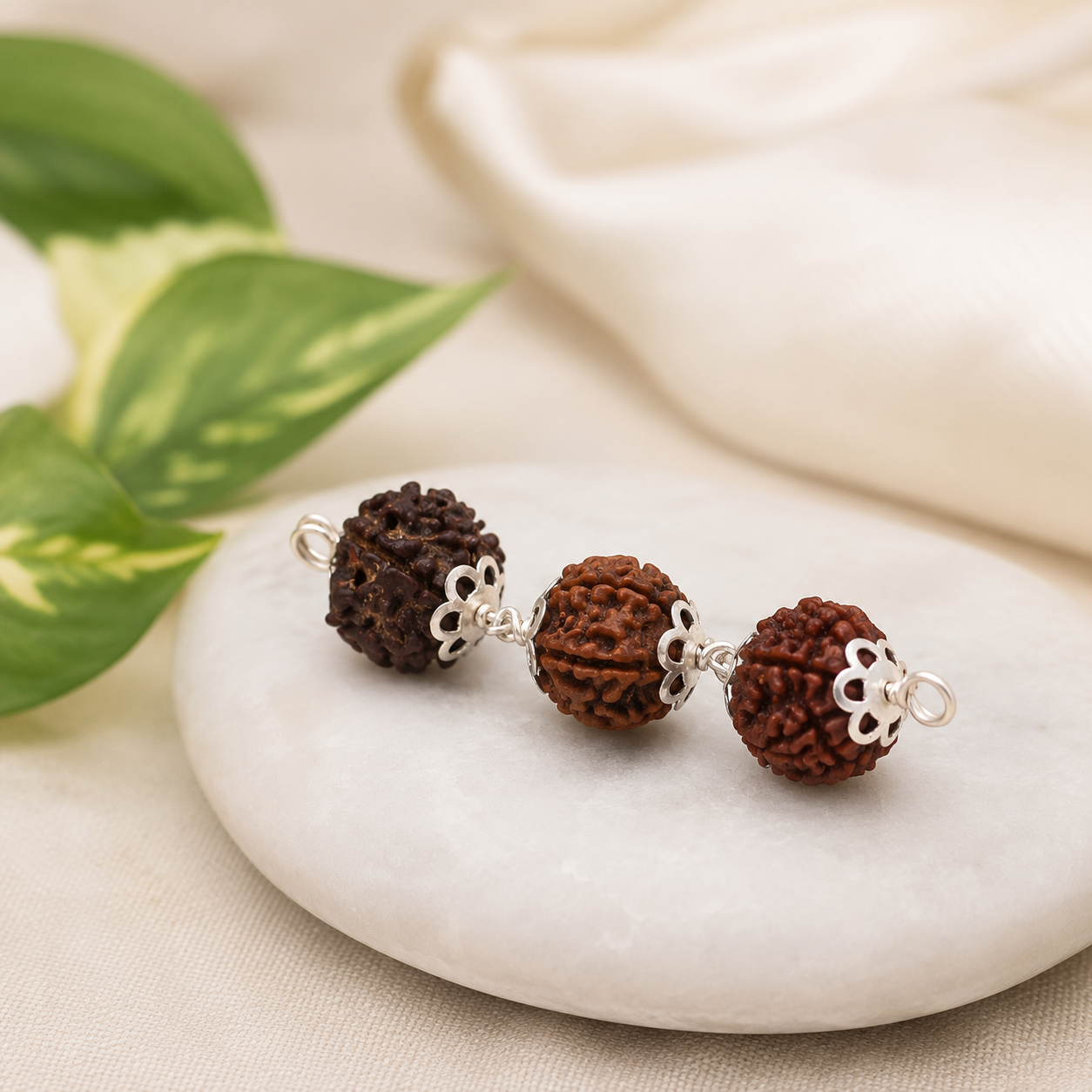 Mithun Rashi Rudraksha 4+5+6 Mukhi