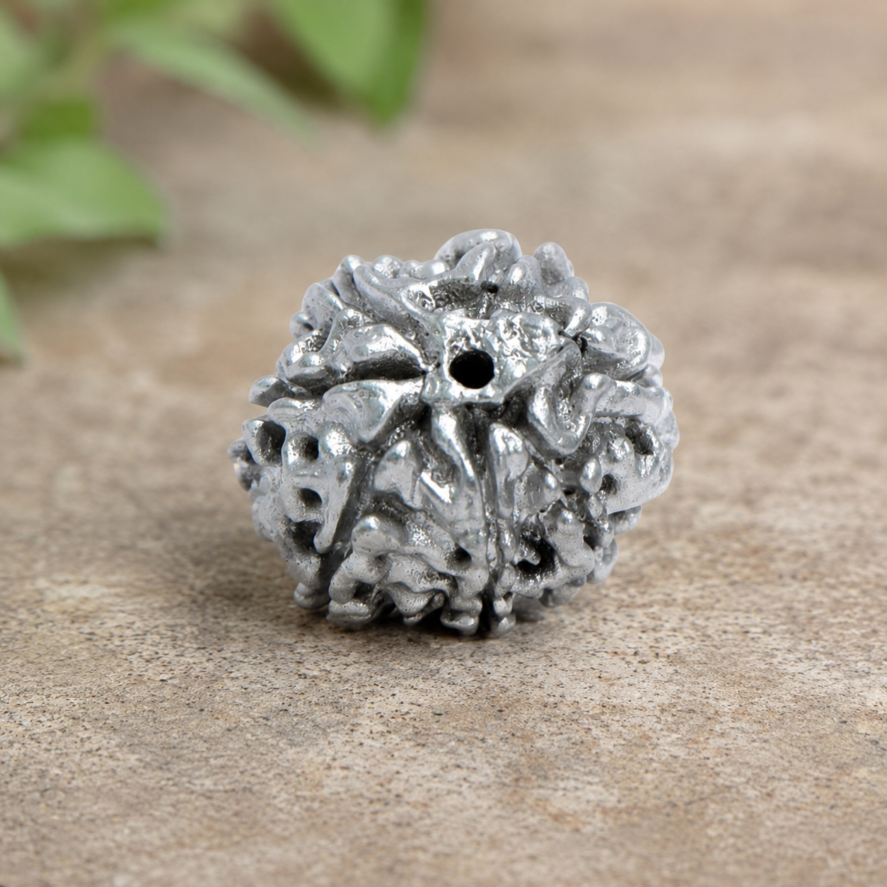 Parad Rudraksha - Image 1