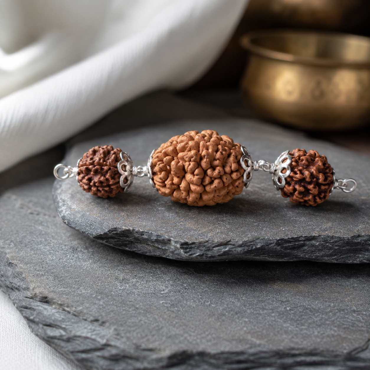 Vrishabh Rashi Rudraksha 2+3+6 Mukhi