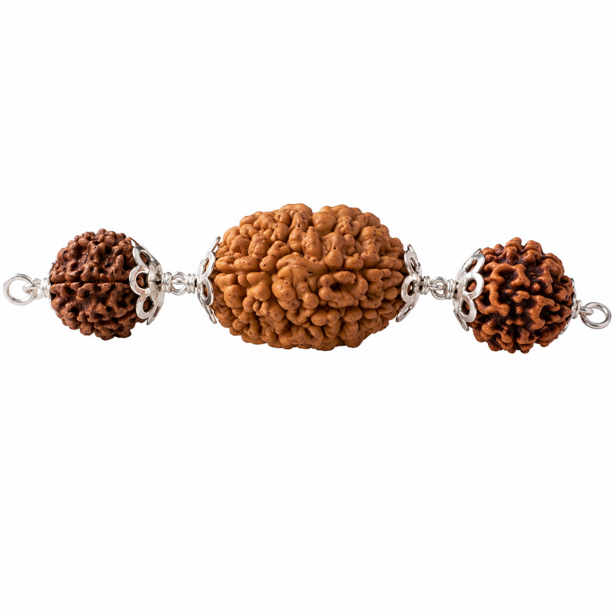 Vrishabh Rashi Rudraksha 2+3+6 Mukhi thumbnail 2