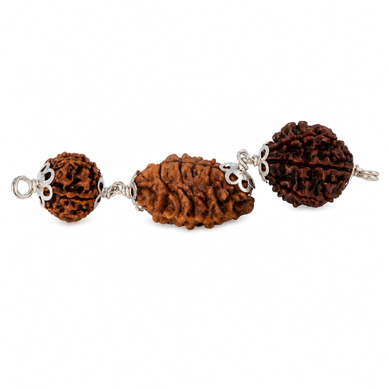 Vrishchik Rashi Rudraksha 2+3+6 Mukhi thumbnail 2