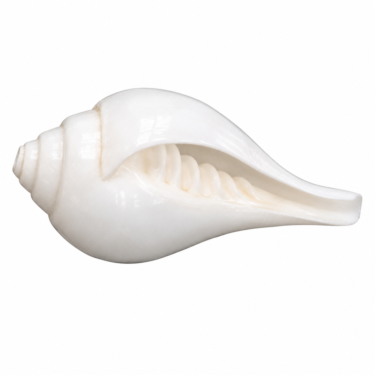 Vamavarti Shankh (Left-Turning Conch) - Image 1