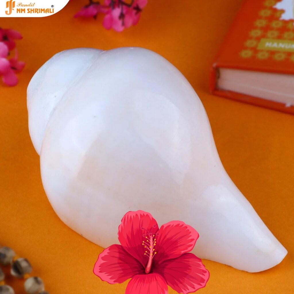 Vamavarti Shankh - वामवर्ती शंख घर में रखने से होने वाले लाभ