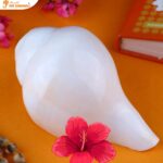 Vamavarti Shankh - वामवर्ती शंख घर में रखने से होने वाले लाभ