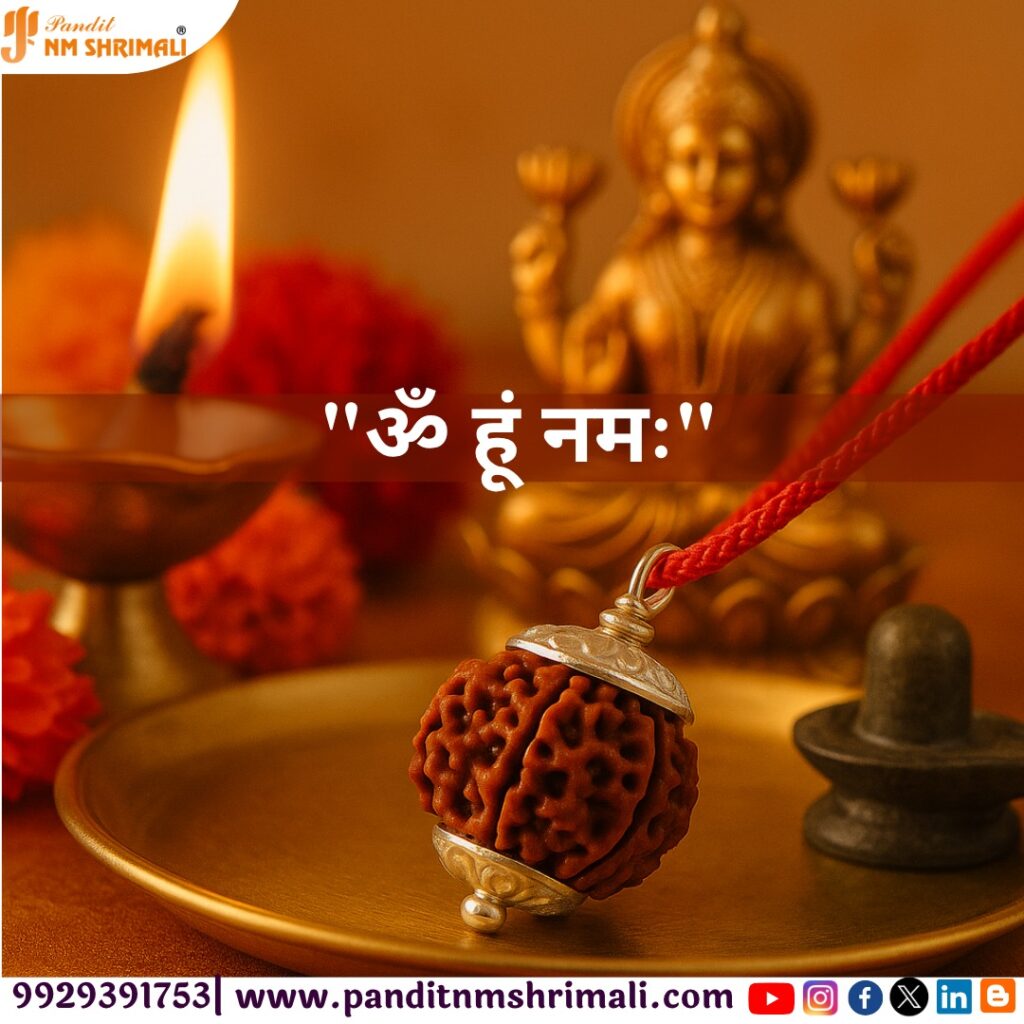 7 Mukhi Rudraksha 100% Certified & Original