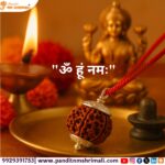 7 Mukhi Rudraksha 100% Certified & Original
