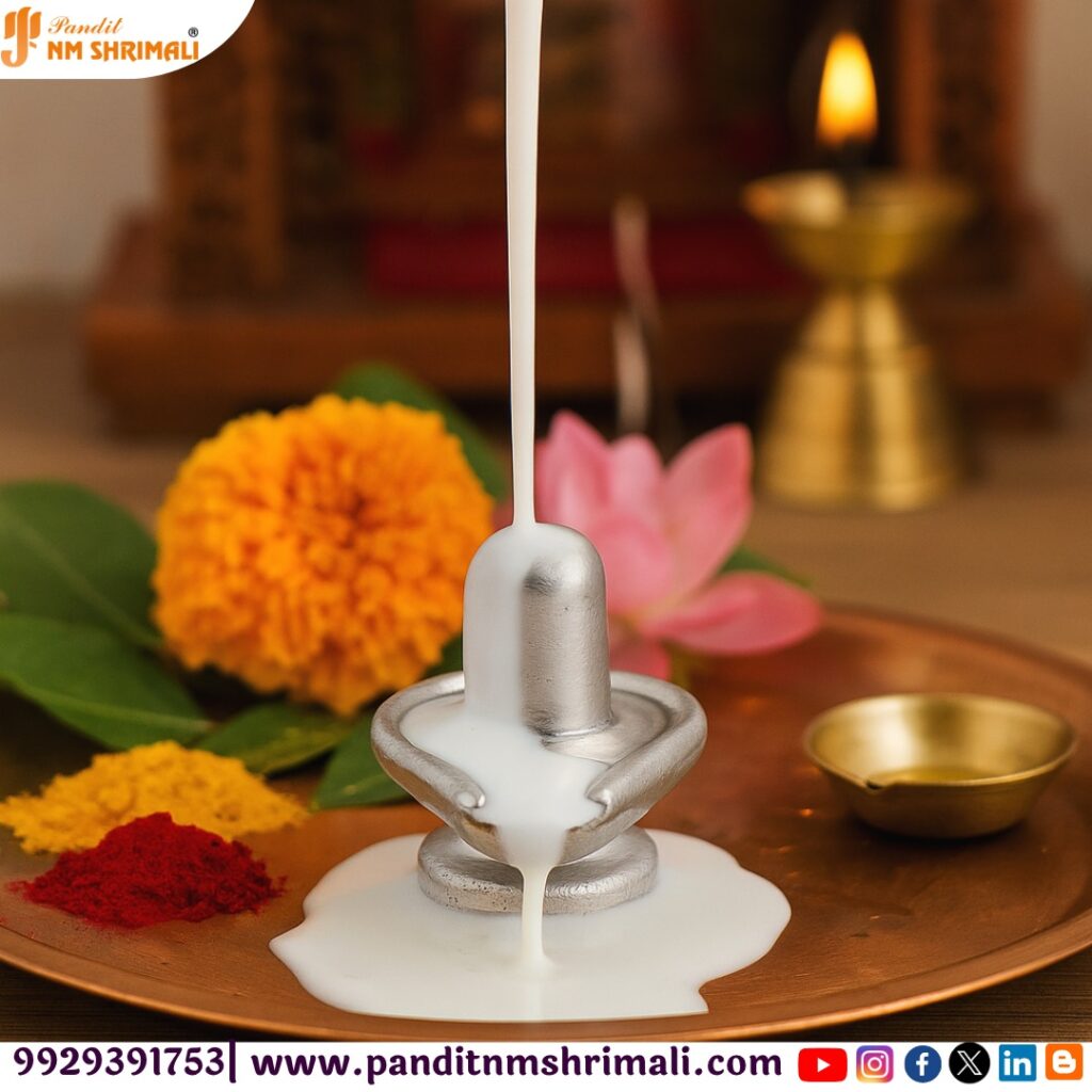 Parad (Mercury) Shivling