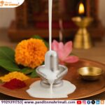 Parad (Mercury) Shivling