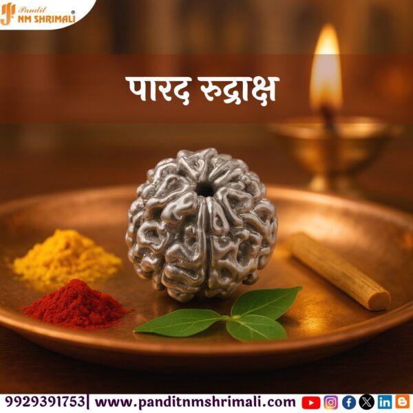 Mercury Parad Rudraksh