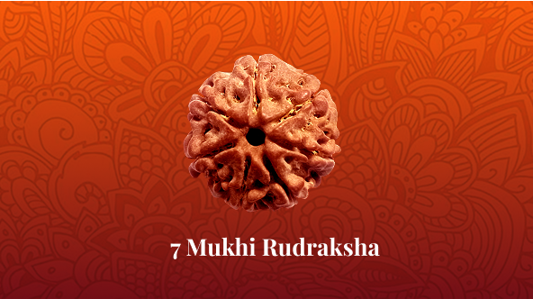 7 Mukhi Rudraksha with spiritual mandala background in red-orange gradient – certified original bead for wealth, peace, and blessings of Goddess Mahalaxmi